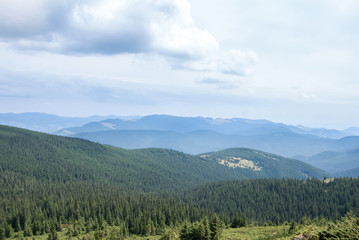 Fototapeta premium View from Goverla in the Carpathians, summer