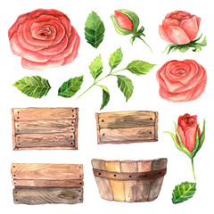 Watercolor roses and leaves