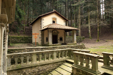 Toscana,foresta di Vallombrosa,Firenze.