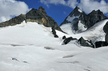 Dent des Bouquetins and glaciers in the Swiss Alps