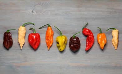 Assorted fresh organic peppers