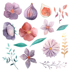 Watercolor flowers and leaves