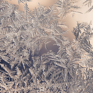 Beautiful Closeup Winter Colorful Background With Icy Frost Patterns
