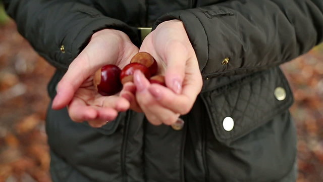 Young woman holding a handful of conkers on a autumn day