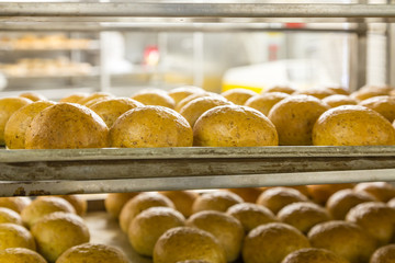 Hot Baked Bread in Kitchen