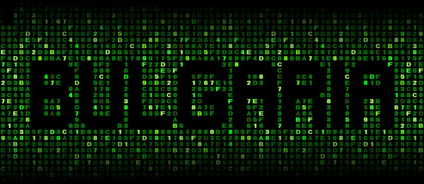 Bulgaria text on hex code illustration