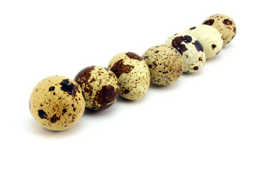 Fototapeta premium Several quail eggs