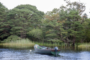 Lough Leane Lake, Killarney National Park, County Kerry
