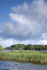 Lough Leane Lake, Killarney National Park