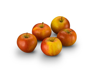 Organic Red Pippin Apples