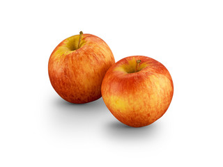 Fototapeta na wymiar Two Organic Royal Gala Apples