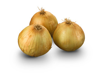 Organic Grano de Oro Onions