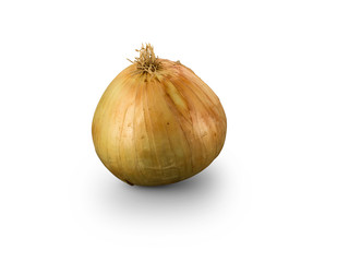Organic Grano de Oro Onion