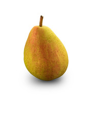 Organic Guyot Pear