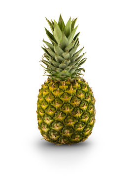 Organic Pineapple,