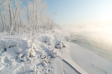 Grass and trees covered with frost and snow