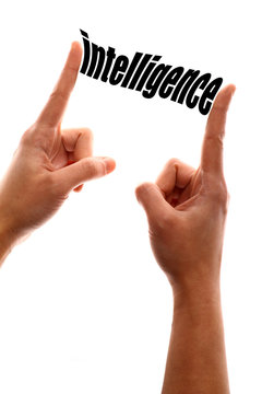 Smaller intelligence