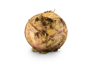Organic Purple Turnip
