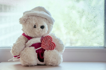 Cute teddy bears holding heart shaped colorful spiral lollipop