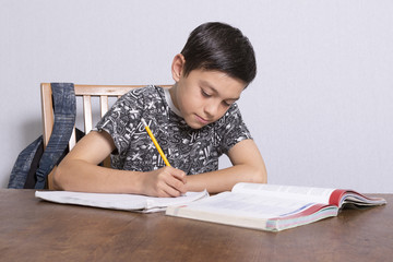 Young Boy Doing His Homework