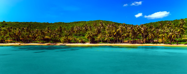 coastline jungle island