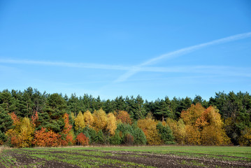 Beautiful autumn landscape