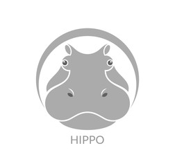 Hippopotamus