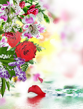 Nature. flowers. Background