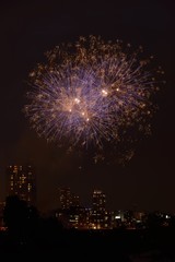 ２０１５年豊平川花火大会