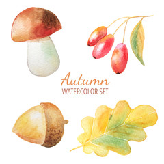 Set of watercolor autumn objects