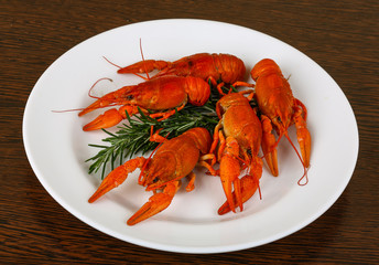 Crayfish