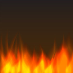 abstract vector fire background