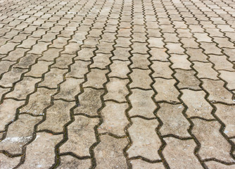 Cement brick floor background