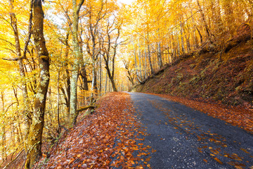 Autumn landscape at Geres National Park, Portugal