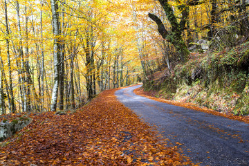 Autumn landscape at Geres National Park, Portugal