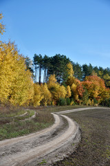 Fototapeta premium Beautiful landscape with road near autumn forest (loop, purpose,