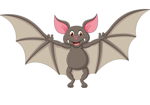 Bat cartoon flying. vector illustration
