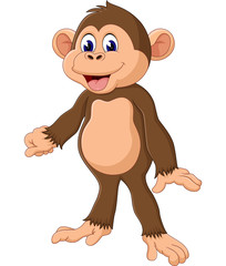 cute Cartoon monkey of illustration
