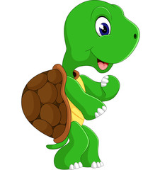 Cute cartoon turtle of illustration
