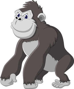 Funny gorilla cartoon of illustration
