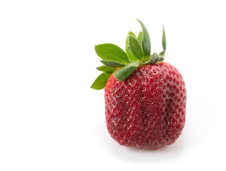 fresh strawberry