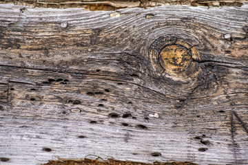 Alter Balken eines Fachwerkhauses