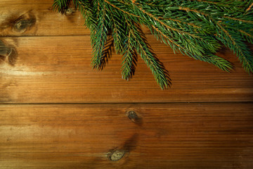 natural green fir branch on blank wooden board