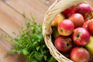 close up of basket with apples and herbs on table