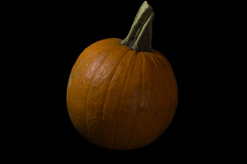 Pumpkin