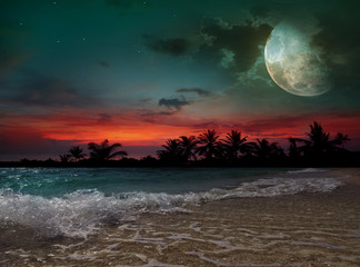Naklejka premium Moon, ocean and palm trees