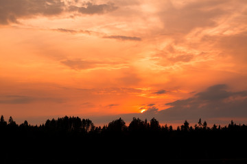 Fiery sunset and silhouette forest