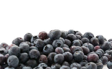 fresh blueberries