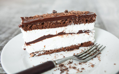 Piece of Chocolate Cake