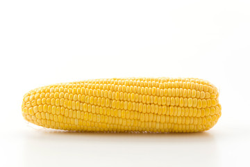 fresh corn